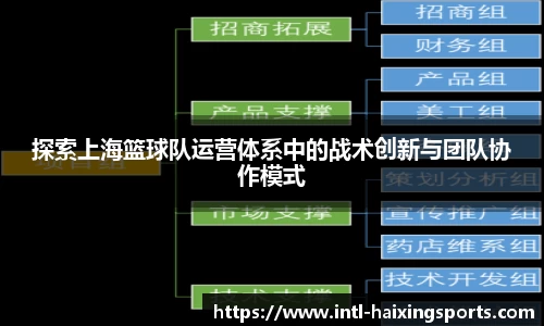 探索上海篮球队运营体系中的战术创新与团队协作模式
